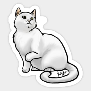 Cat - European Shorthair - White Sticker